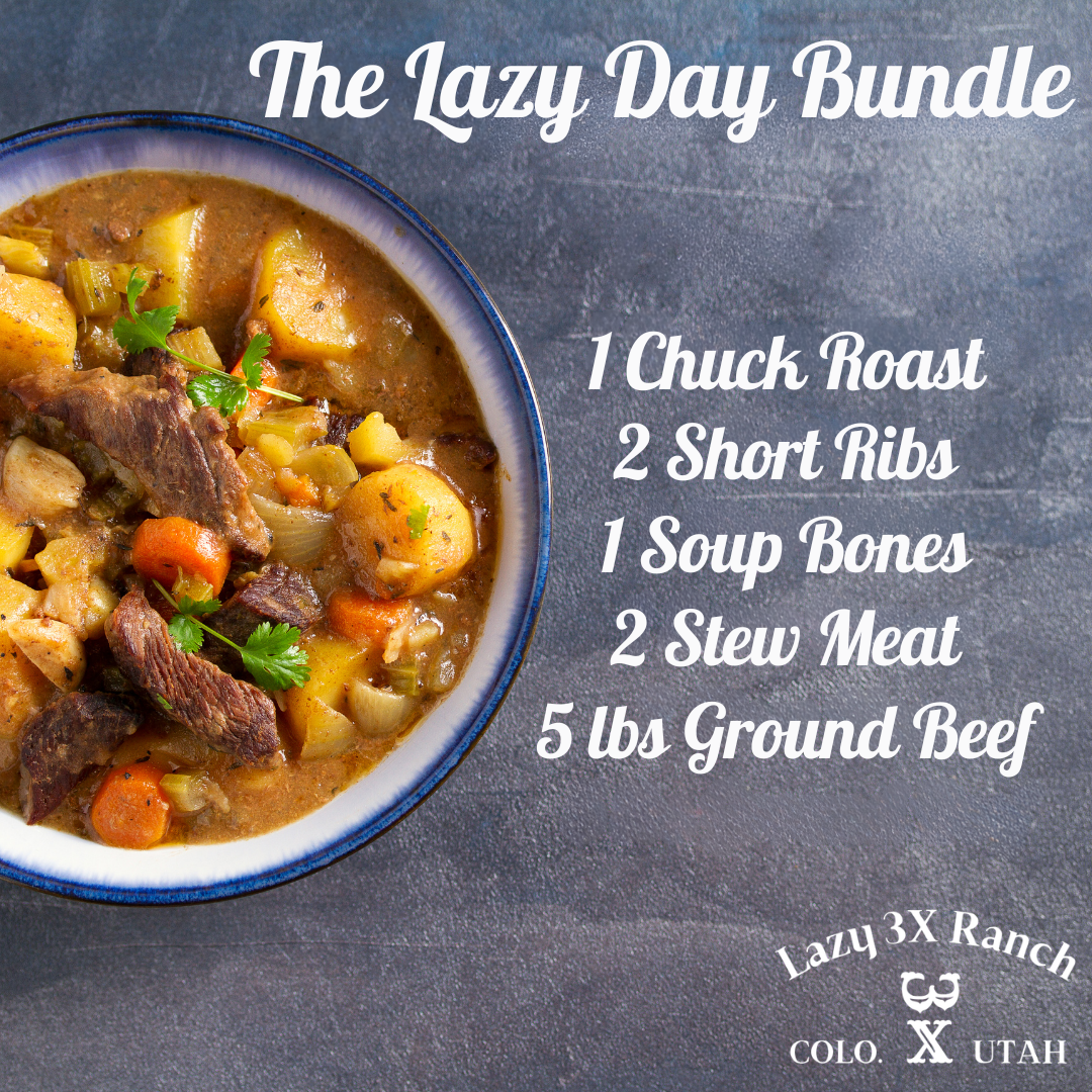 The Lazy Day Bundle – Lazy 3X Ranch