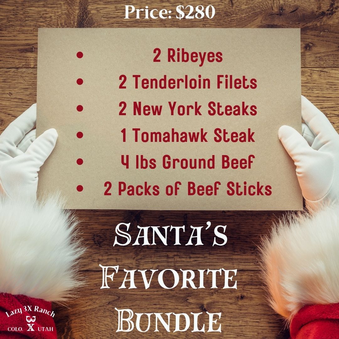 Santa's Favorite Bundle