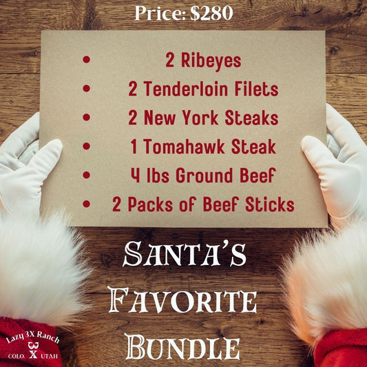 Santa's Favorite Bundle